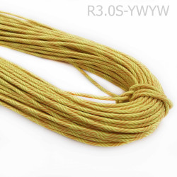 r30s-ywyw1