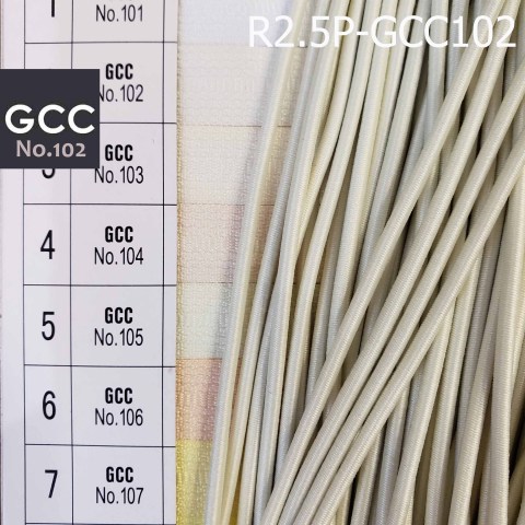 R2.5P-GCC102