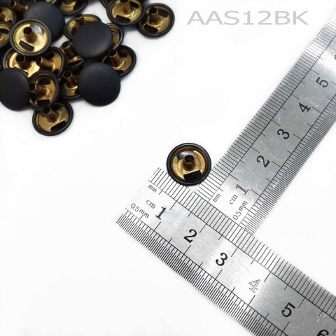 aaS12BK1