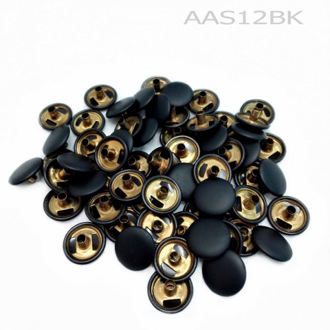 aaS12BK