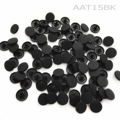 aaT15bk1