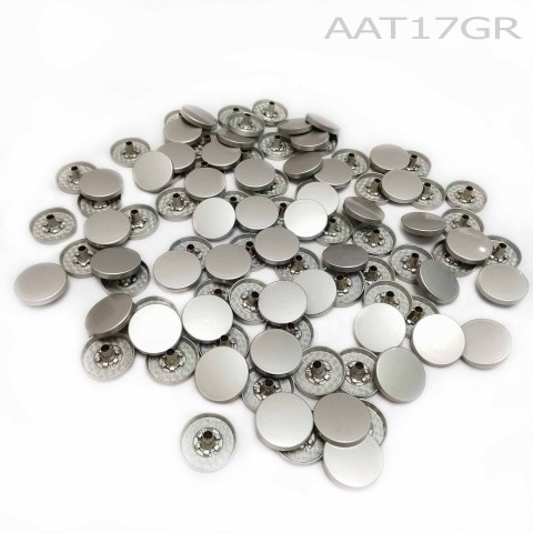 aaT17GR1