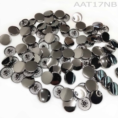 aaT17NB1